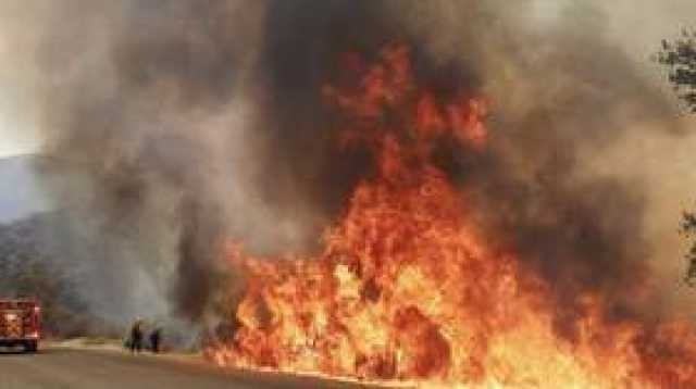 'سببها البرق' حرائق الغابات تلتهم مساحات شاسعة في ولاية كاليفورنيا مع عمليات إخلاء للسكان (فيديو)