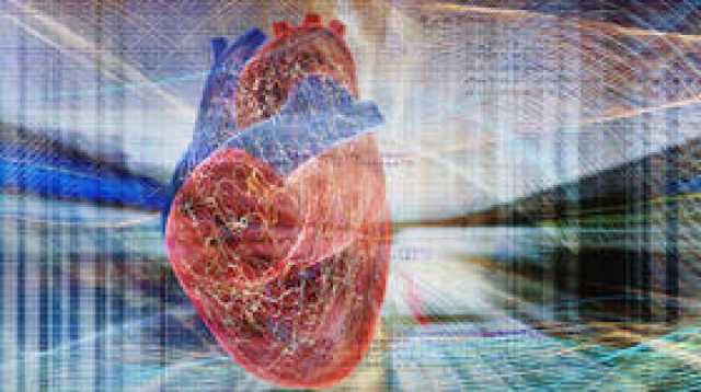 دراسة: المساحات الخضراء والزرقاء تحافظ على صحة القلب