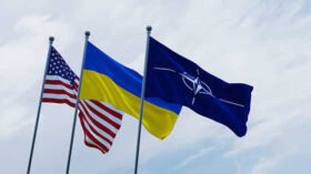 'التلغراف': الناتو لن يوجه الدعوة إلى أوكرانيا للانضمام بسبب الفساد
