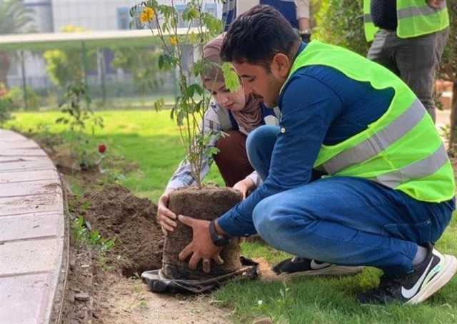 أمانة بغداد تنطلق في حملة ترقيم الأشجار ببلدية الرشيد