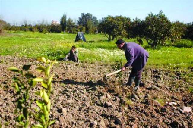 الحكومة تستبشر بالأمطار الأخيرة وتدعو إلى مزيد من ترشيد استهلاك المياه