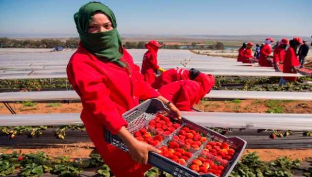 فرنسا تستغل مغربيات في “ضعيات العبودية”