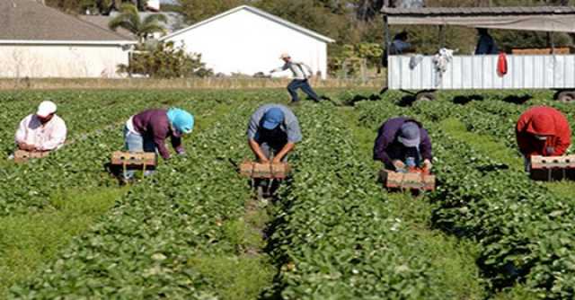 إدانة زوجين مغربيين بفرنسا مارسا الإضطهاد على مهاجرين جلبوهم من المغرب مقابل 15 مليون