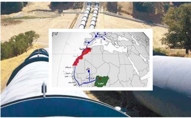 شركة هولندية تدخل على خط مشروع أنبوب الغاز نيجيريا المغرب