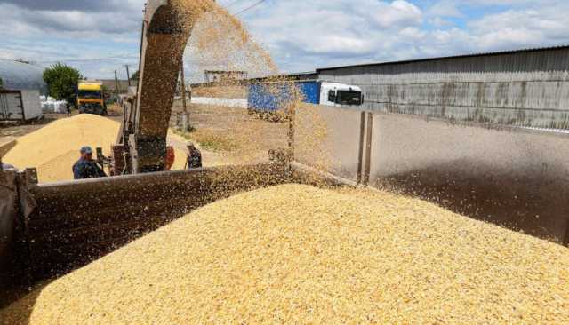 المغرب يستهدف استيراد طنين من القمح من أكتوبر إلى دجنبر