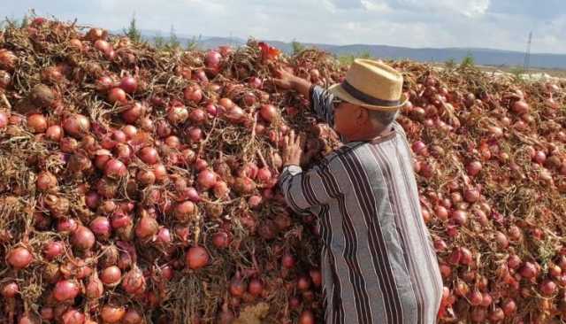 مطالب برلمانية بإعفاء الفلاحين من الديون المتراكمة