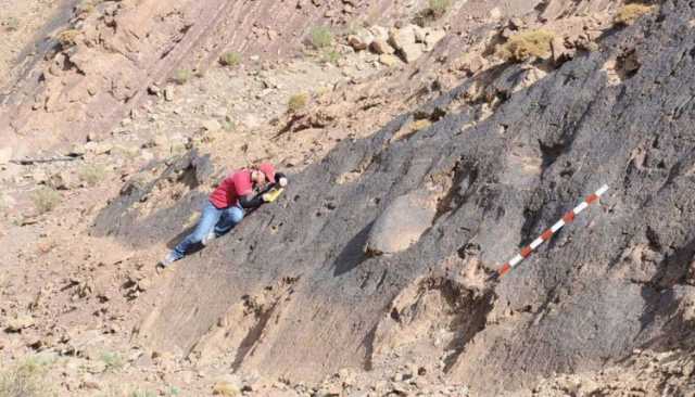 اكتشاف آثار ديناصورات بإملشيل تعود إلى 165 مليون سنة