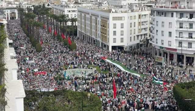 فضيحة النظام الجزائري.. العالم يخرج في تظاهرات تنديدا بالعدوان الإسرائيلي وهو يصدر قرارات بمنع الإحتجاج