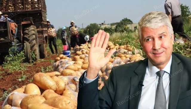 صديقي: سندعم البطاطس و الطماطم لضمان تزويد السوق الوطنية