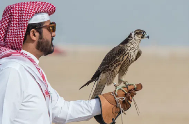 شقيق أمير قطر يعود لبوجدور للإستمتاع بأجواء البادية والطبيعة وشواطىء الإقليم