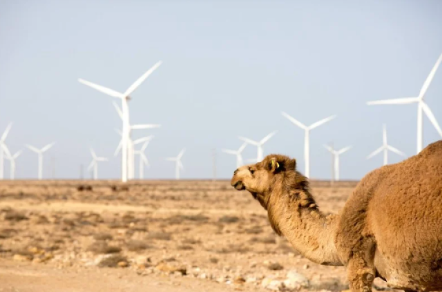 هذه تفاصيل المشروع الضخم لنقل الكهرباء من جنوب المملكة إلى الشمال