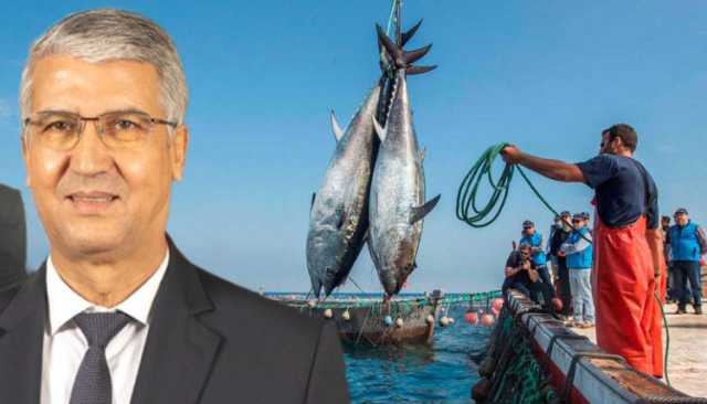 أرقام تحرج الوزير صديقي.. تراجع قيمة منتجات الصيد يُفقد المغرب 4.8 ملايير درهم
