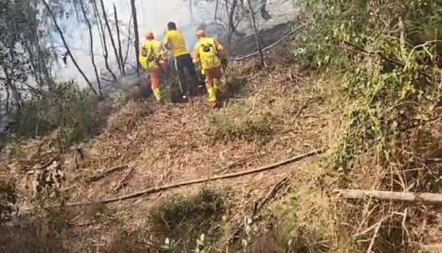 السيطرة على حريق غابة مديونة بطنجة