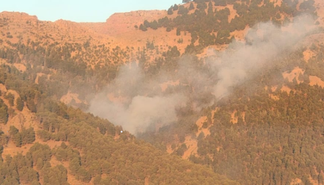 السيطرة على حريق غابة تدمامت بإقليم الحوز