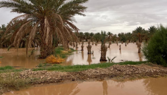 الحكومة تخصص 40 مليون درهم في مرحلة أولى لدعم المتضررين من الفيضانات