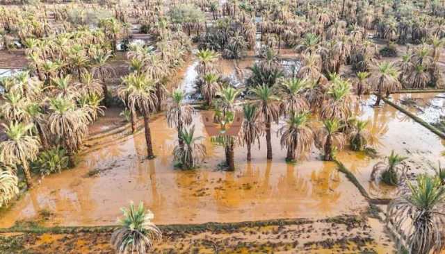 الأمطار تروي عطش واحات تنجداد (صور)