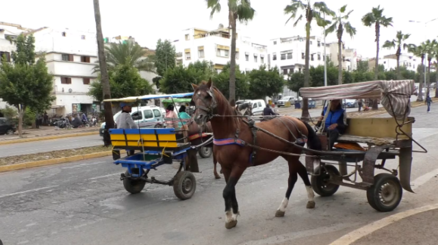 فضائح آيت منا بالمحمدية.. لجنة الفيفا اصطدمت بـ”كرويلة” خلال تفقدها ملعب البشير