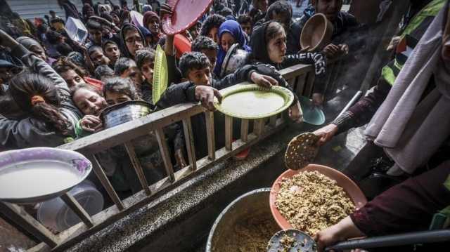 المجاعة تنهش لحومنا وأجسادنا.. سكان غزة يقتاتون البقايا الفاسدة وأعلاف الحيوانات وورق الشجر