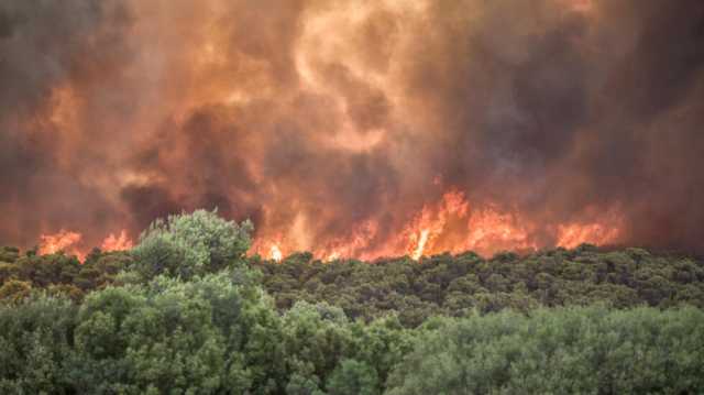 اليونان: حرائق غابات جديدة تتسبب بمقتل 18 شخصا يشتبه بأنهم مهاجرون