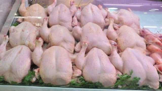 مربو دجاج اللحم بالمغرب يستنكرون الزيادات في أسعار المواد المتدخلة وينذرون بارتفاع أسعار اللحوم البيضاء