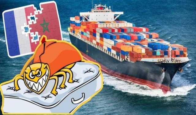 بعد انتشار بق الفراش.. مغاربة يطالبون بمنع الرحلات البحرية القادمة من فرنسا والجعفري يكشف السيناريوهات المحتملة