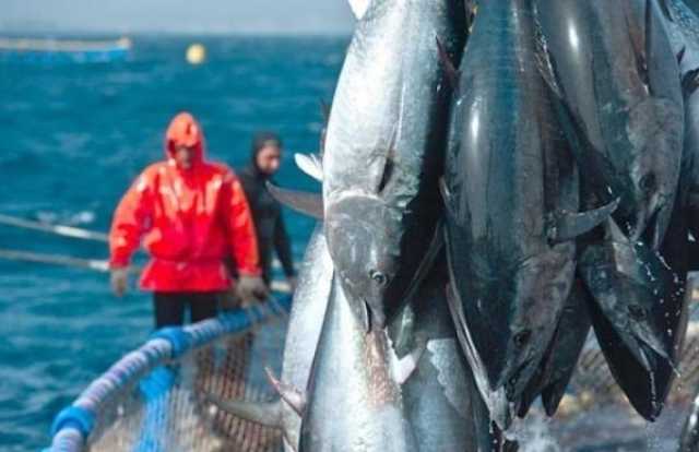 الإسبان أكبر المتضررين من تأخر اتفاقية الصيد البحري بين المغرب و الإتحاد الأوروبي