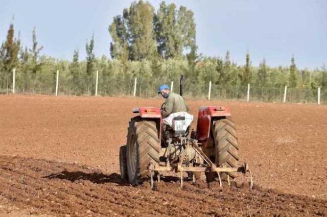 محمد الصديقي يُعلن عزم الحكومة توسيع الطبقة الوسطى الفلاحية.. التفاصيل