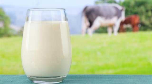 البدائل النباتية: خيار صحي لحساسية حليب الأبقار وعدم تحمل اللاكتوز