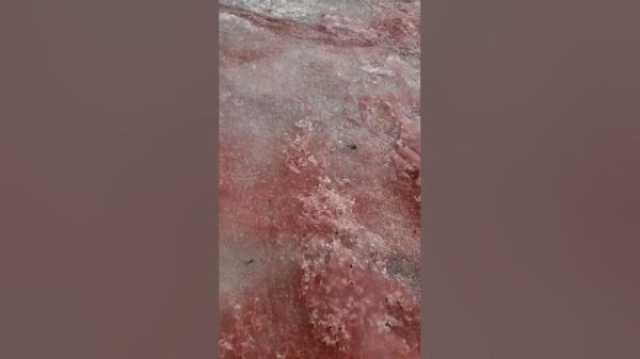 تحول نهر جليدي إلى سيل أحمر اللون في جمهورية ألتاي(فيديو)