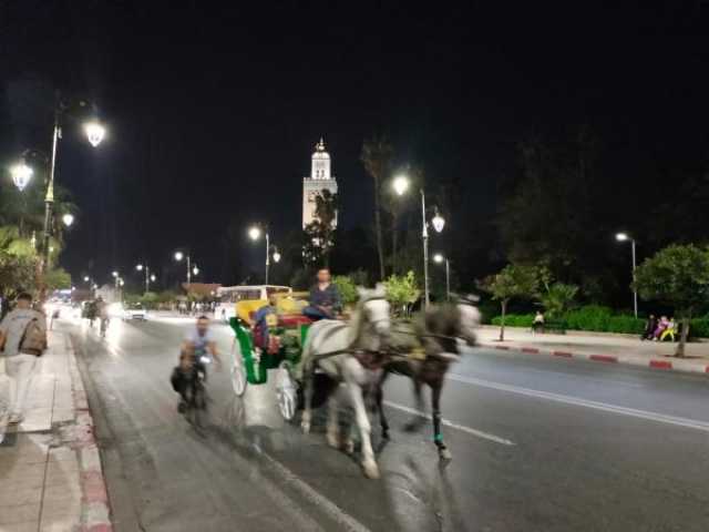 الجواهري: من المبكر تقديم توقعات بشأن تأثير زلزال الحوز على الاقتصاد الوطني