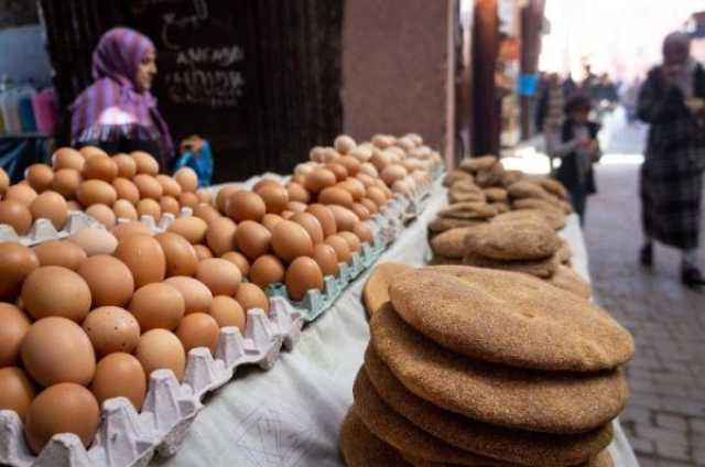 خشية أن يصير ثمنه درهمين.. مغاربة يطلقون حملة لمقاطعة البيض قبل شهر رمضان