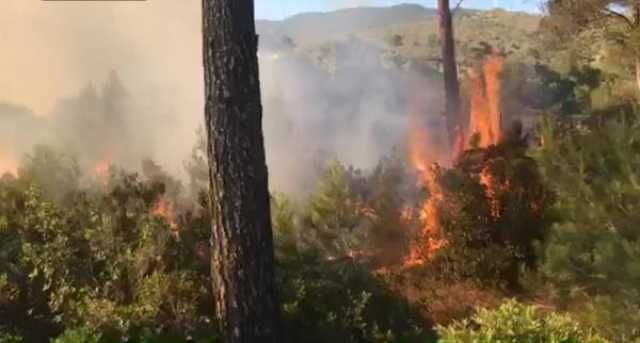 اندلاع حريق يتسبب في توقيف حركة السير بين طنجة وتطوان