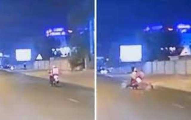 سائق دراجة توصيل يتعرض لحادث بسبب الكلاب الضالة(فيديو)