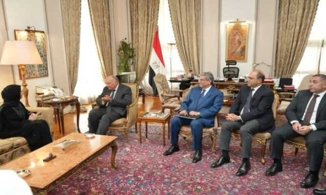 وزير خارجية مصر يطالب الاحتلال بعدم التضييق على المساعدات إلى غزة