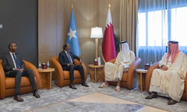 وسط أزمة إثيوبيا.. أمير قطر يبحث مع رئيس الصومال العلاقات الثنائية
