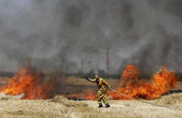 مستوطنون يحرقون حقولاً زراعية شرق نابلس