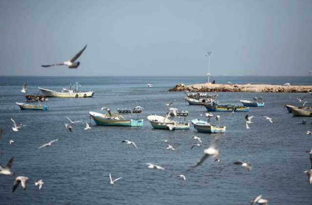 حالة الطقس في فلسطين اليوم الخميس والجمعة