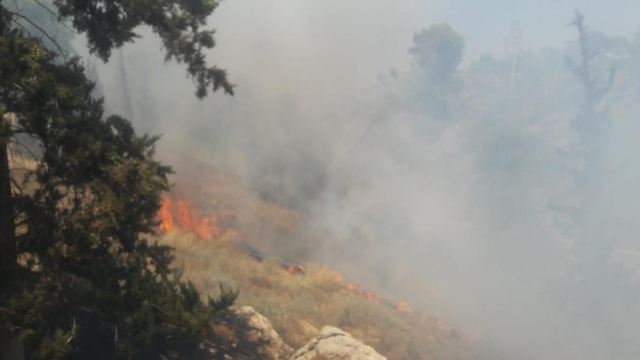 مستوطنون يحرقون أراضٍ زراعية بسبسطية شمال نابلس