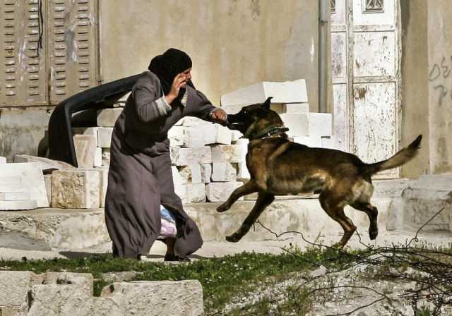 صحيفة عبرية تكشف: قوة من جيش الاحتلال أجبرت فلسطينيات على التعري