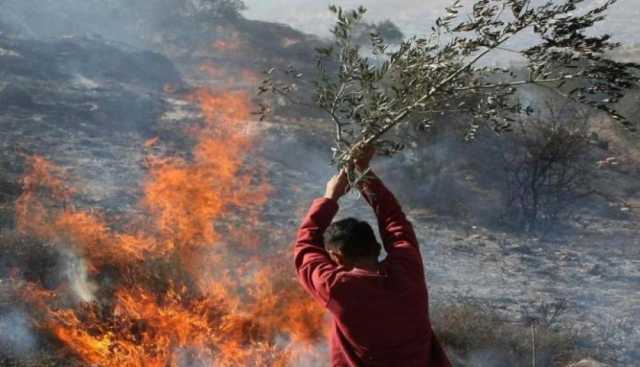 مستوطنون يحرقون أراضي رعوية في تجمع عرب المليحات بأريحا