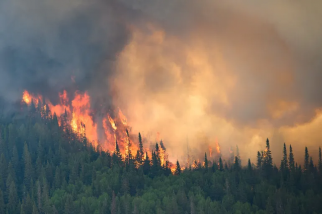 التغير المناخي يرفع معدلات حرائق الغابات الكارثية إلى حد قياسي