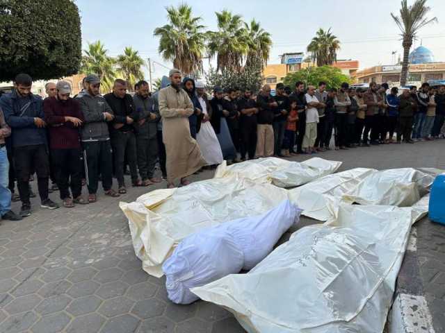 14128 شهيدًا وأكثر من 33 ألف جريح في العدوان المستمر على قطاع غزة