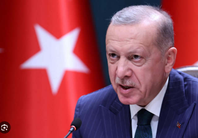 الرئيس التركي: أنقاض غزة تمثل ركام النظام الدولي