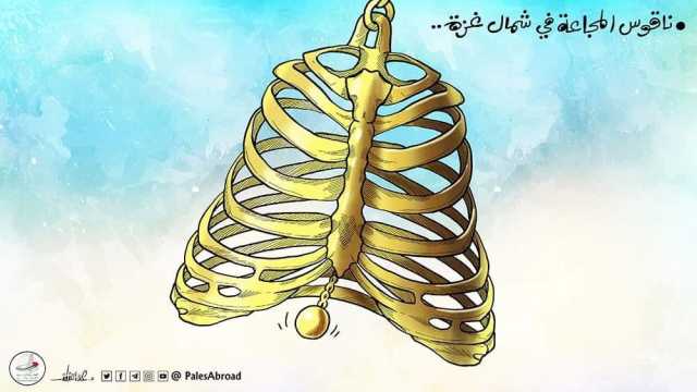 شمال غزة يموت جوعًا... حملة الكترونية لتسليط الضوء على المجاعة بالقطاع