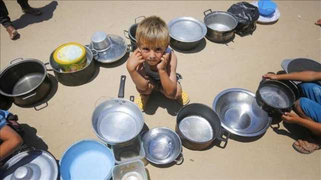 'الأغذية العالمي': نصف مليون بغزة يواجهون مستويات جوع كارثية