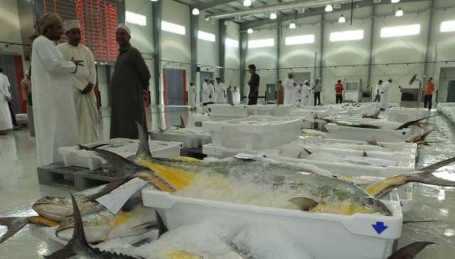 الكشف عن إجمالي الأسماك المنزلة بالصيد الحرفي بنهاية يونيو 2023