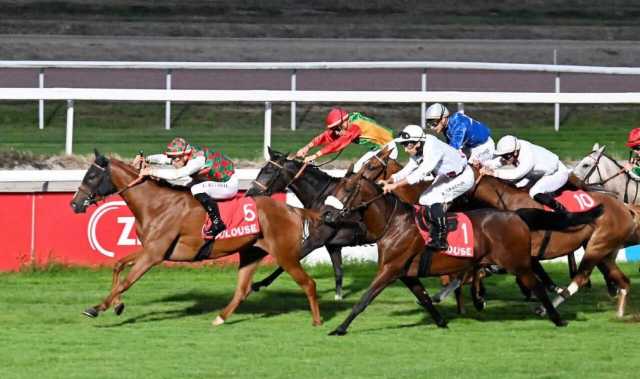 المهرة “وداد” تتوّج بسباق الخيول العربية الأصيلة في فرنسا