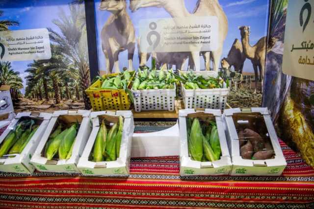 “مهرجان الذرة والبطاطا” في أبوظبي يوفر منصة لتعزيز الإنتاج المحلي