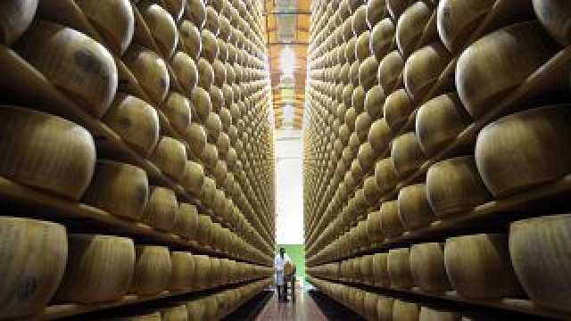 منتج جبن إيطالي يموت سحقاً تحت عجلات الجبن
