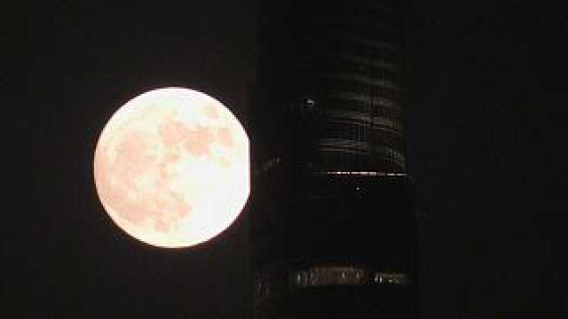 شاهد: في منظر خلاب.. القمر الأزرق العملاق يضيء سماء دبي